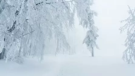 Ураганный ветер, метели и опасный туман: стихия готовит удар