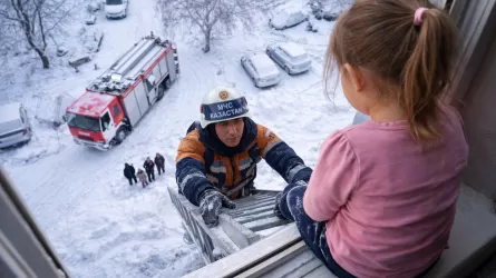 Девочку сняли с подоконника пятого этажа в Караганде 