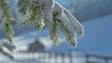 От морозов до весеннего тепла: погода в Астане, Алматы и Шымкенте