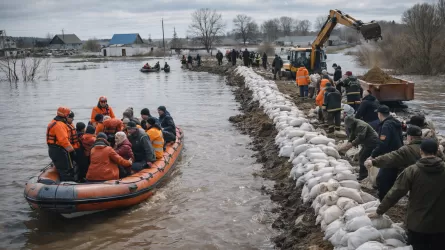 Жителей затопляемого поселка переселяют в СКО 