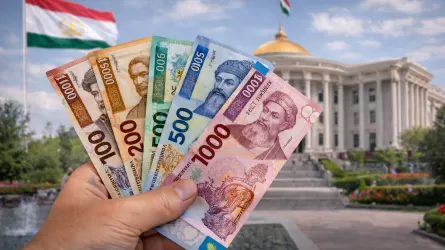 Таджикистан продлил легализацию &laquo;теневых&raquo; денег до 2027 года