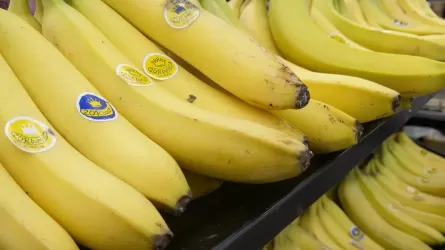 Бананы, лимоны, землянику и чернику выращивают в теплицах Казахстана 