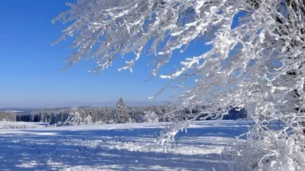 Снег, ветер и резкое похолодание: штормовые условия прогнозируются в Казахстане 