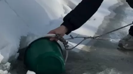 Экологи нашли превышение тяжелых металлов в Риддере 