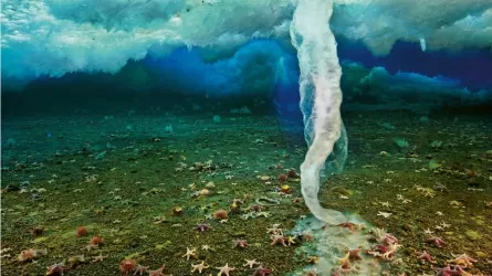 Палец смерти подо льдом Антарктики 