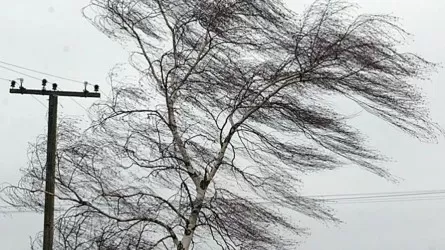 Ураганный ветер сорвал крыши и оставил без тепла села в Жамбылской области