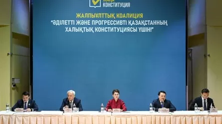 Аида Балаева: Судьба новой Конституции &ndash; это не только дело юристов и политиков