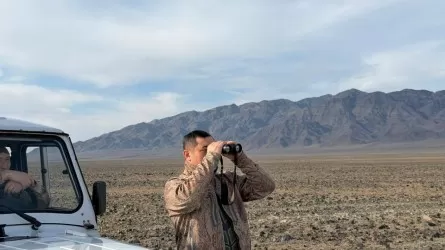 В нацпарке Казахстана подсчитали редких животных  