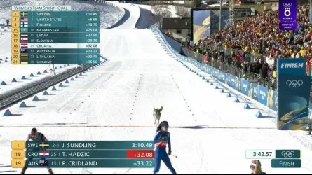 Олимпиададағы тосын сәт: Хаски жарыс жолына шықты