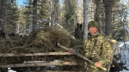 Лесники нацпарка подкармливают животных суровой зимой 