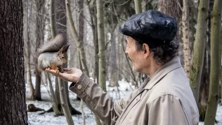 Чем безопасно угостить белок в городском парке 