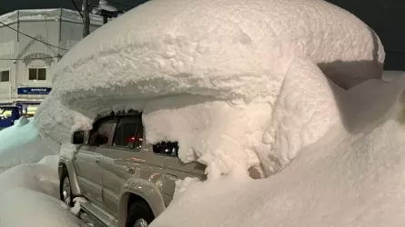 Снегопады в Японии унесли десятки жизней 