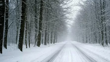 От метелей до весеннего солнца: погода в регионах Казахстана резко меняется