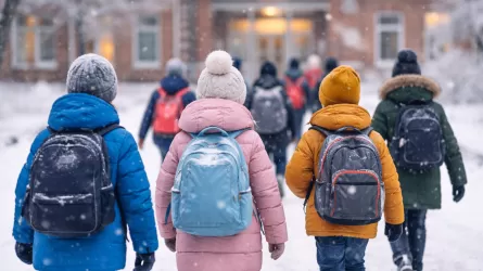 В Астане учащиеся второй смены уходят в онлайн