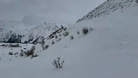 МЧС РК предупреждает о лавинах в горах 