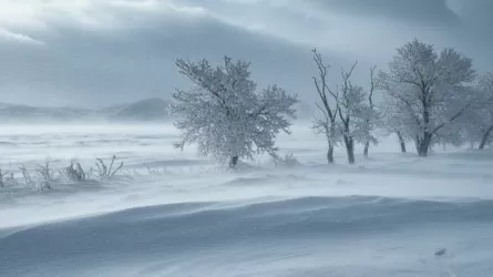 Лютый холод и снежные бури: на Казахстан обрушился мощный арктический циклон