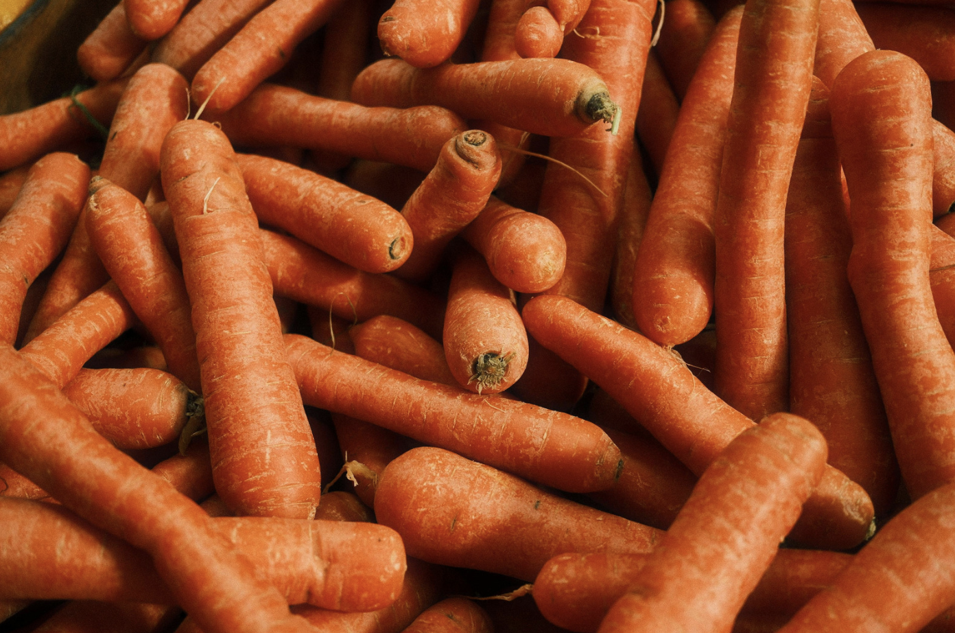 Үкімет сәбіз экспортына шектеу енгізу жоспарынан бас тартты