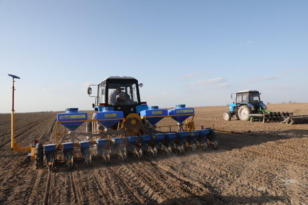 Жамбыл облысында биыл 623,3 мың гектарға ауыл шаруашылығы дақылдары егіледі