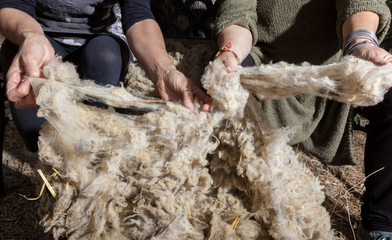 Елімізде тері мен жүн өңдейтін 8 инвестициялық жоба іске асырылады