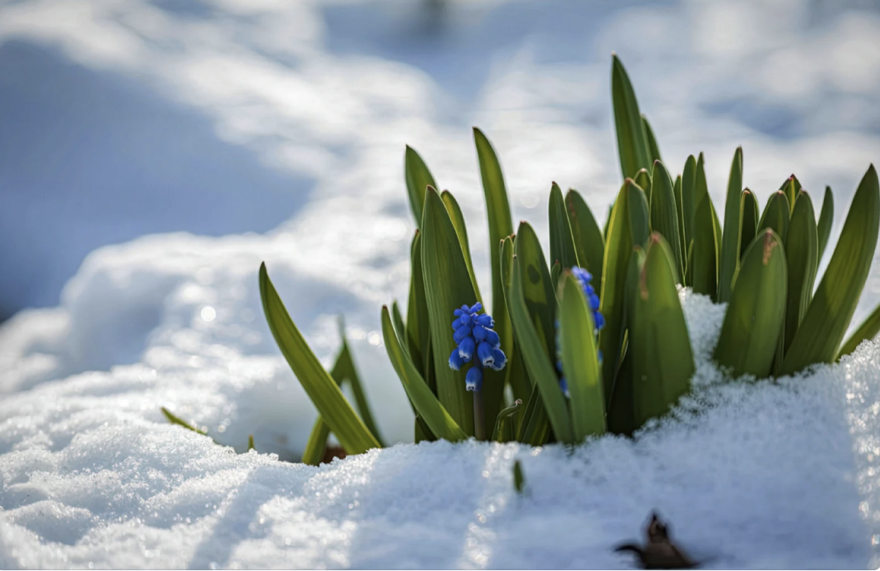 Көктемнің алғашқы күндері ел аумағында күн жылына бастайды