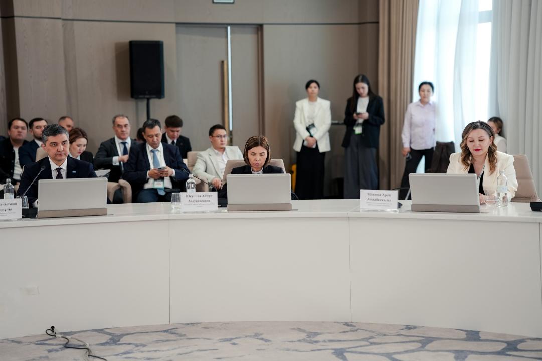 Энергетика министрлігі 2029 жылға дейінгі цифрландыру стратегиясын таныстырды