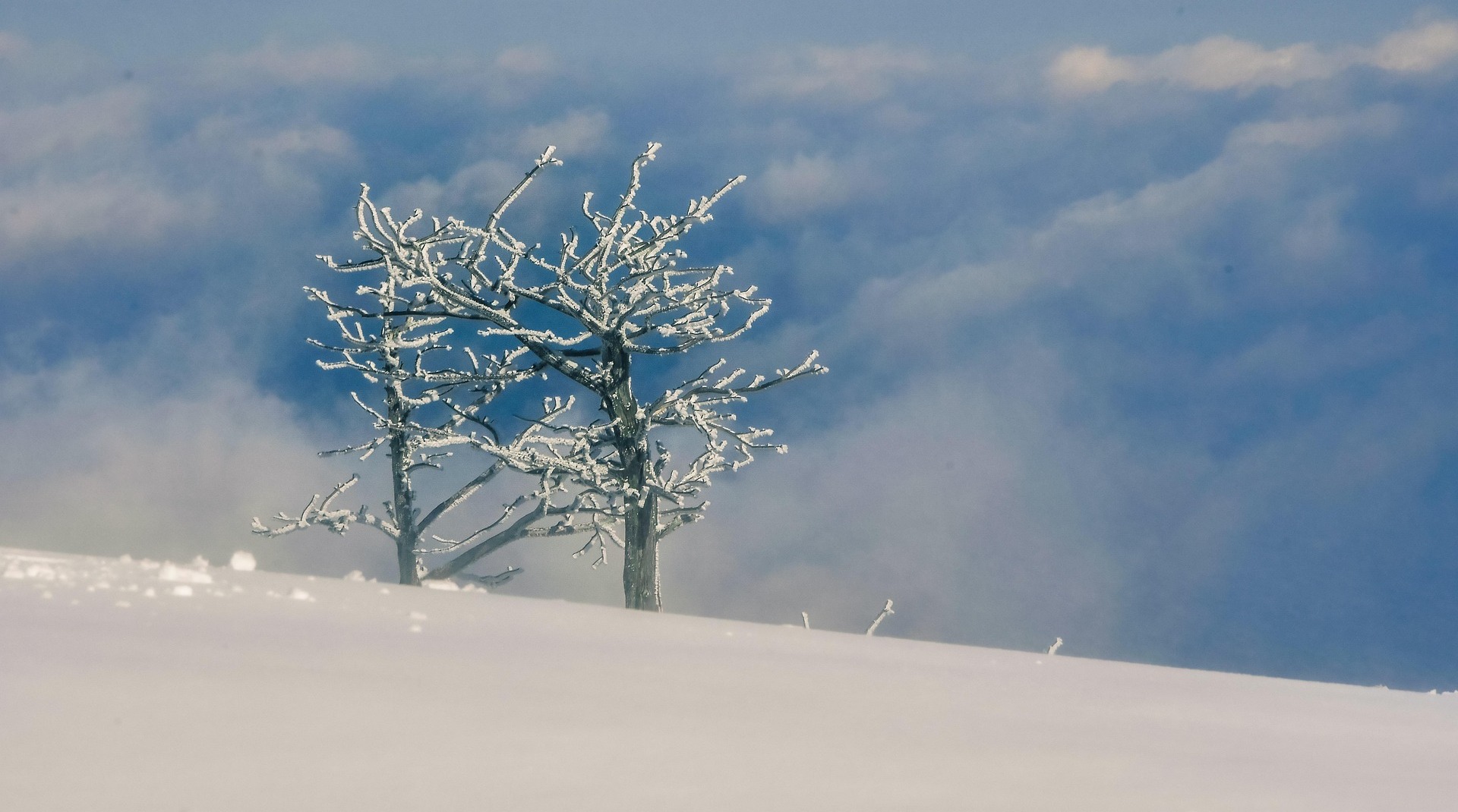 Погода в Казахстане 2 марта: низовая метель, сильный ветер и гололед в регионах