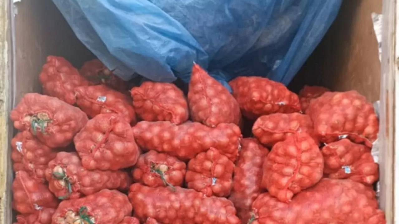 Кыргызстан не пропустил крупную партию лука из Казахстана