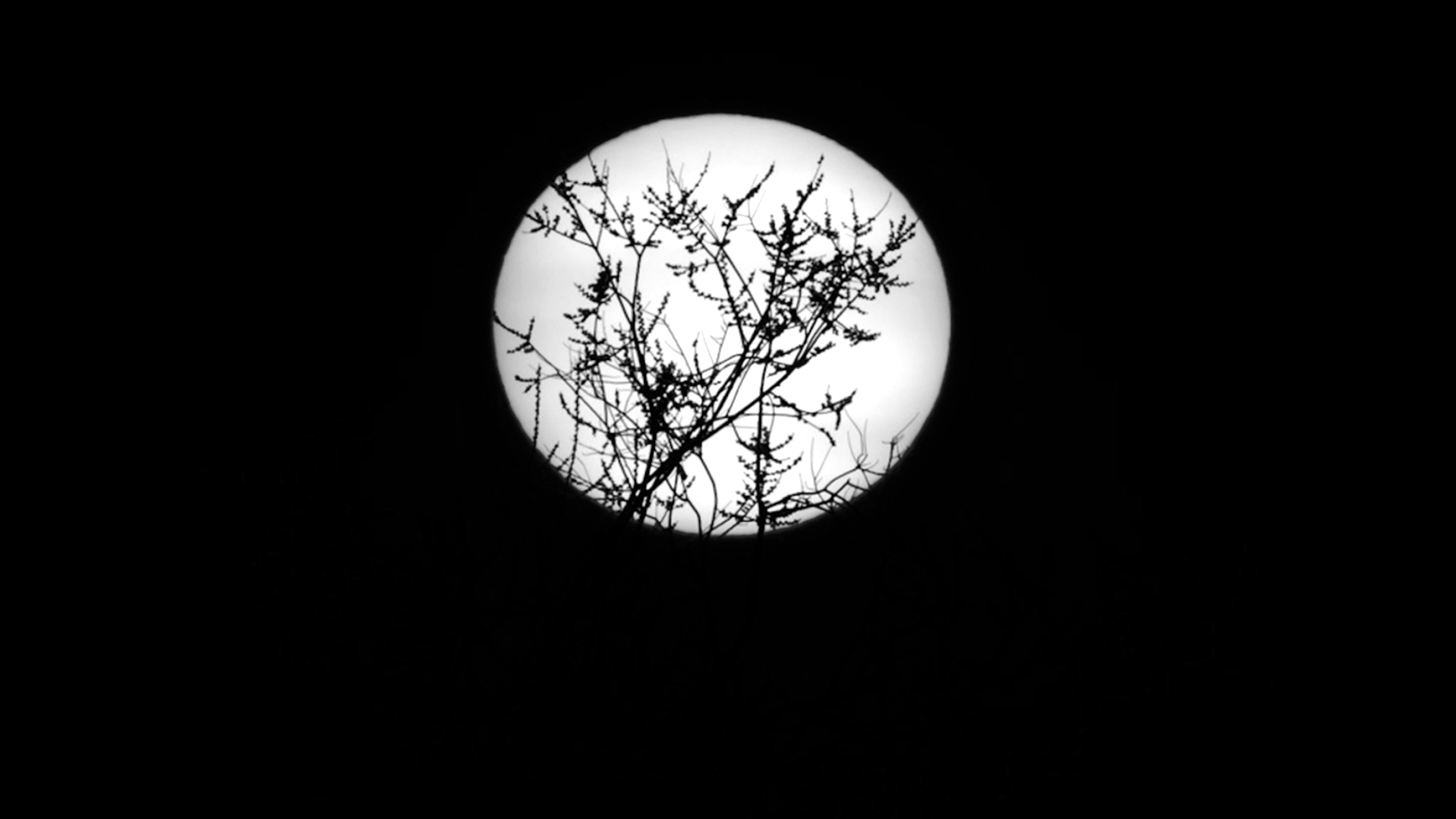 Исследования ставят под угрозу новые завоевания в космосе