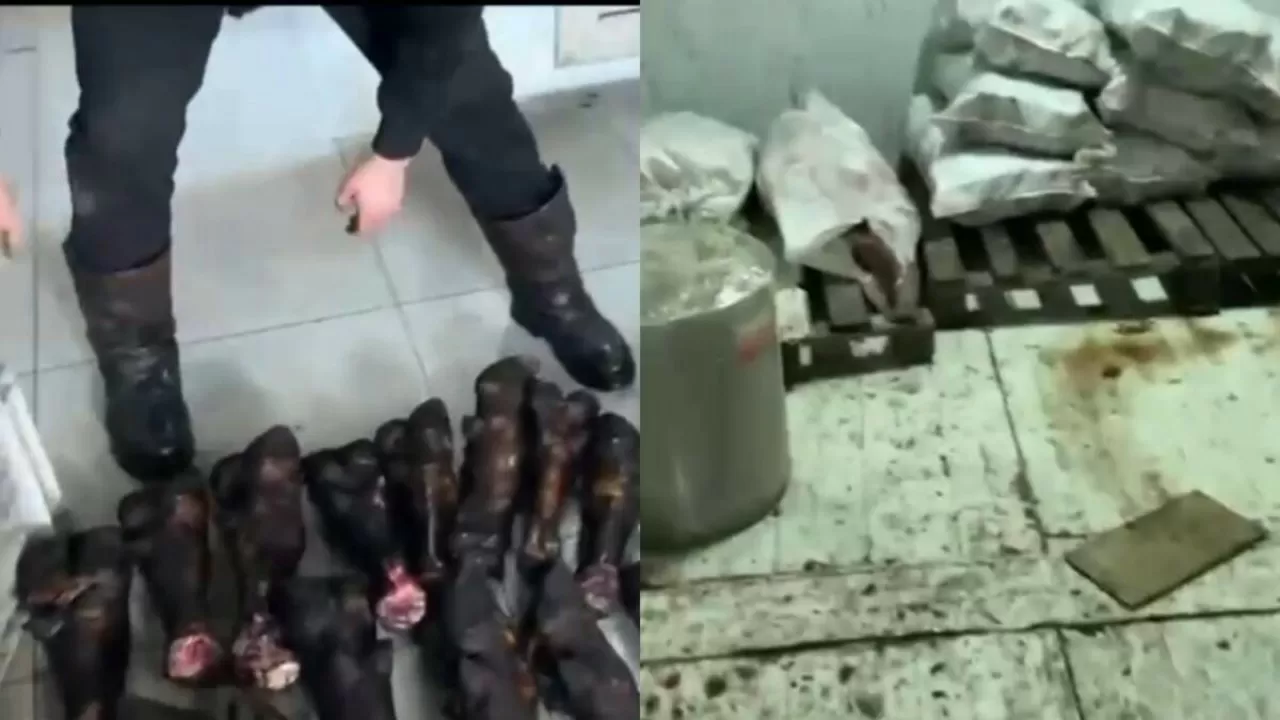 Сразу два подпольных мясных цеха выявили всего за сутки в Астане  