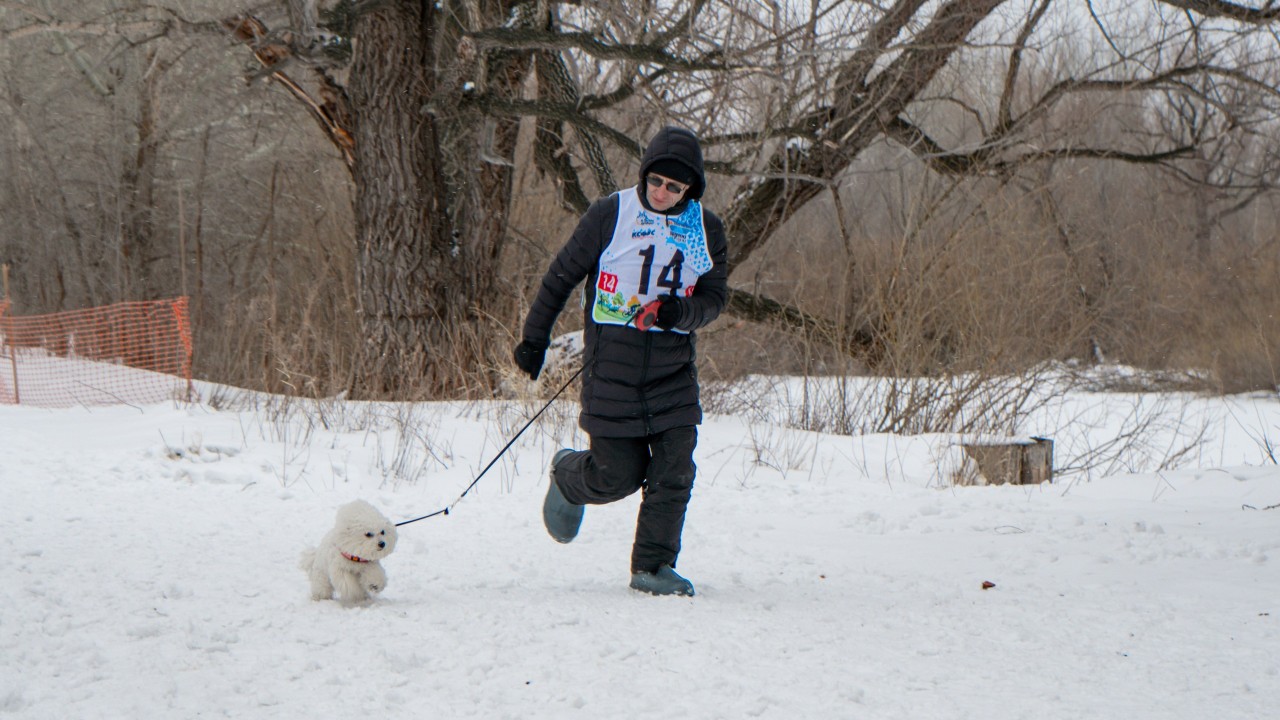 В Казахстане набирает популярность ездовой спорт