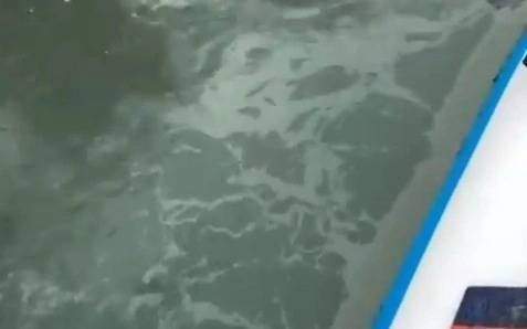 "Ертіс" өзеніне жанармай құйылды: экологтар сынамалар алды