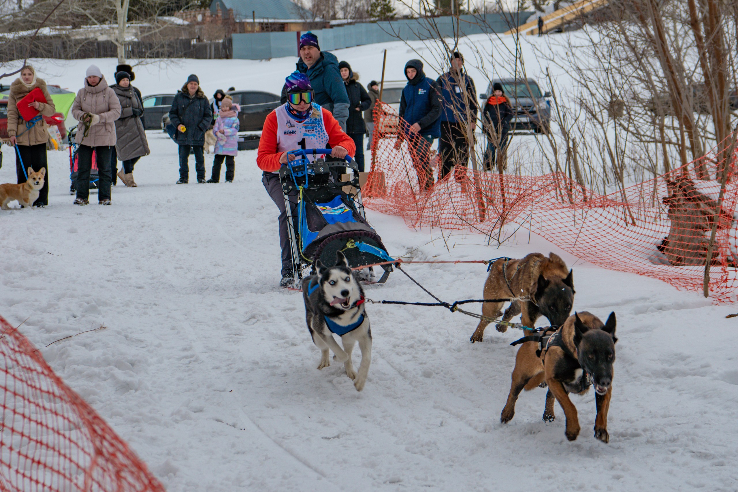 В Казахстане набирает популярность ездовой спорт