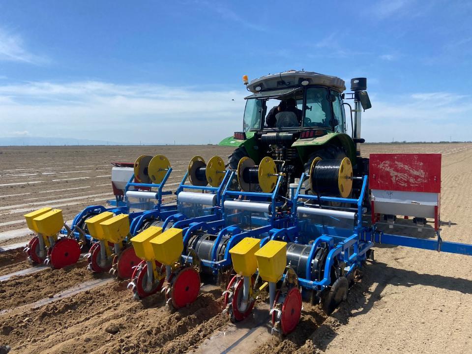 Биыл Жетісу өңірінде егіс алқабы 511 мың гектардан асады