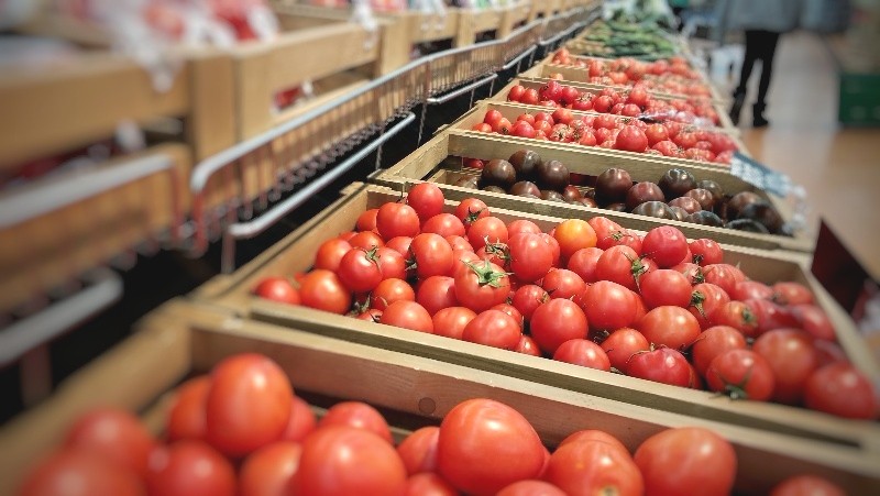 Елімізге карантиндік өнімдер әкелуде 145 заңбұзушылық анықталды