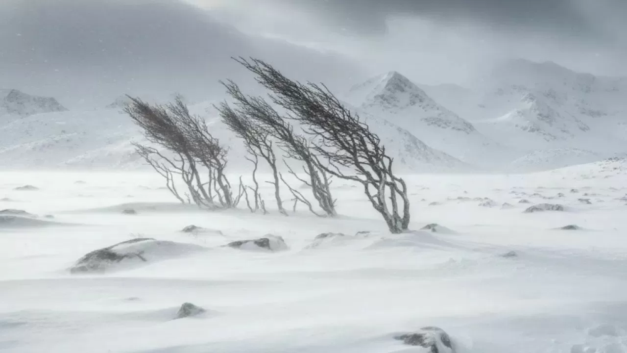 Снег, метель и ледяной дождь: на Казахстан обрушился мощный шторм с порывами до 28 м/с