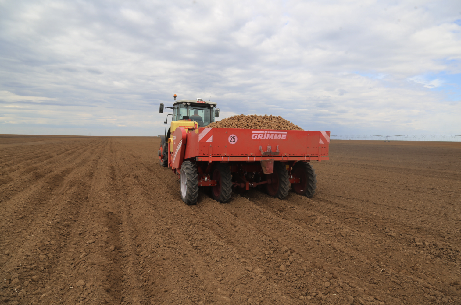 Қызылорда диқандары су үнемдеу әдістеріне көшті