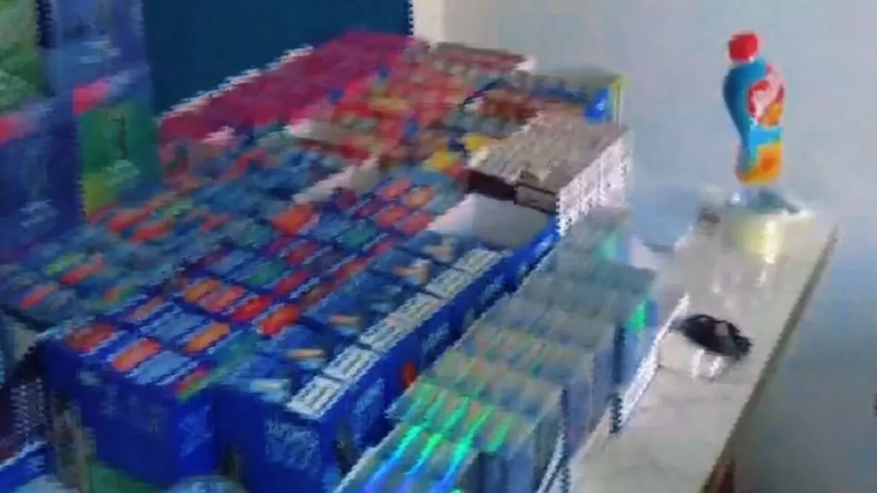 В Шымкенте изъяли внушительную партию вейпов на миллионы тенге 