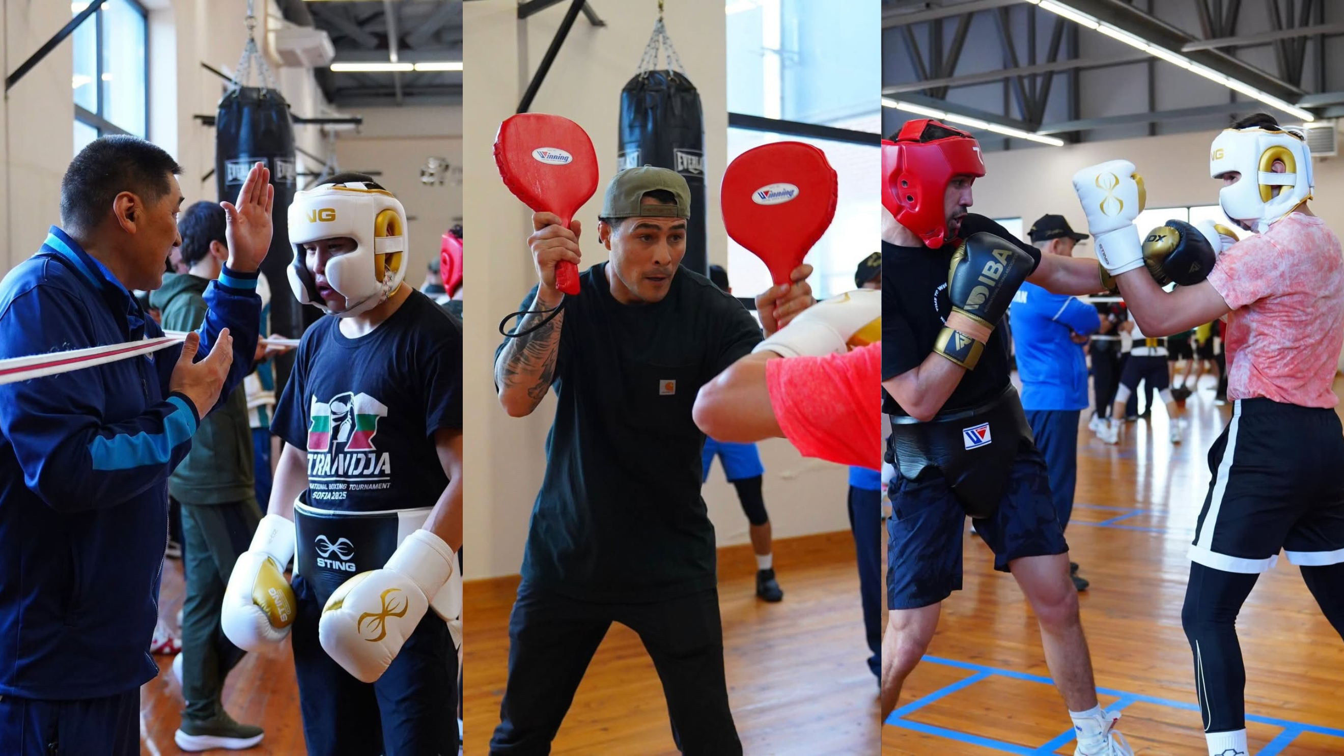 Бокстан 5 елдің ерлер құрамалары Түркістанда оқу-жаттығу жиындарын өткізуде