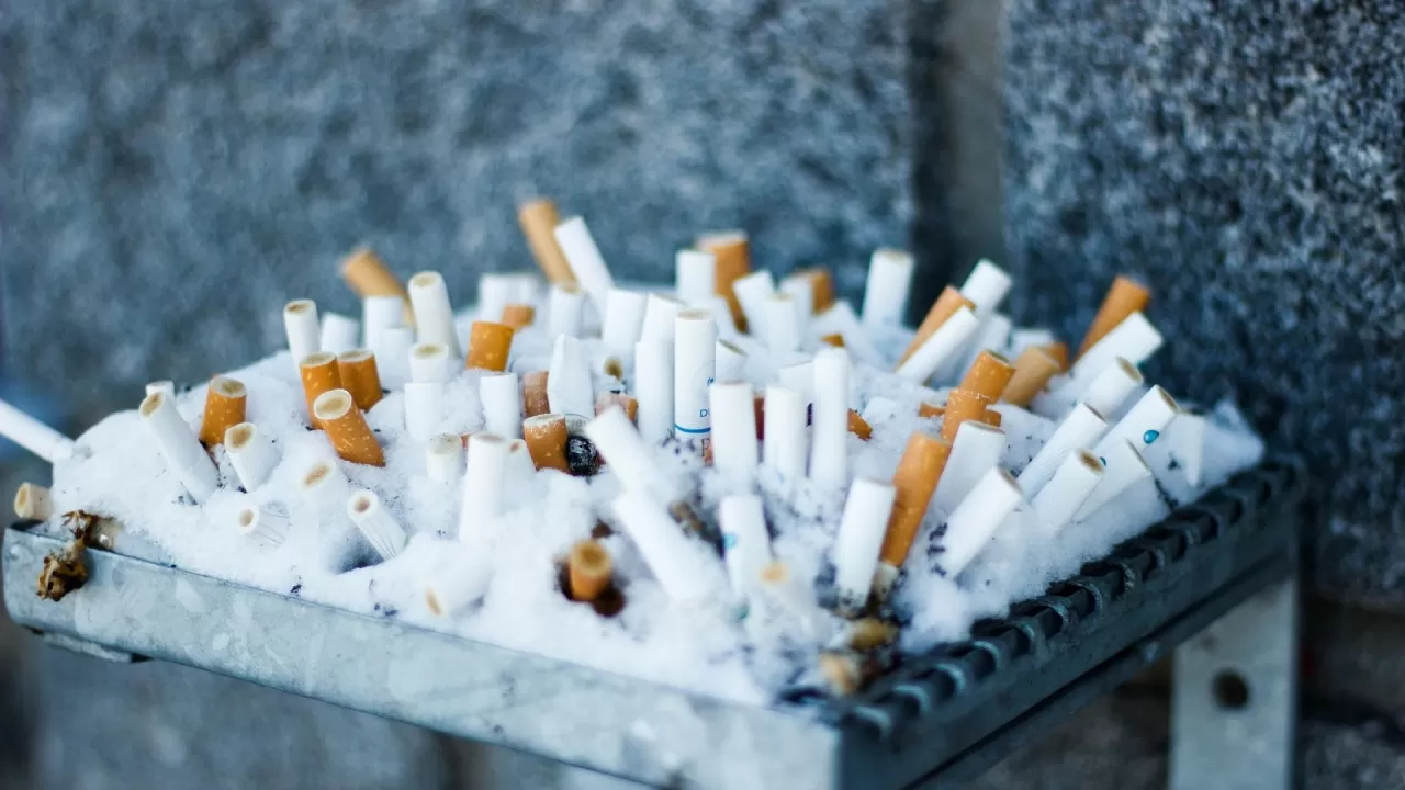 Во что превращаются окурки спустя многие годы 