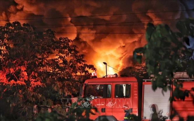 Вьетнамда ағаш өңдеу зауыты алапат өртке оранды