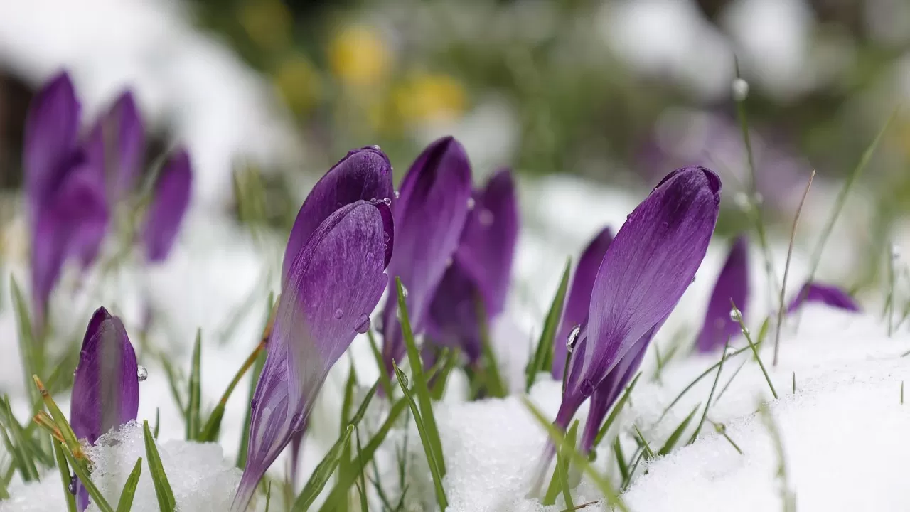 В Астане, Алматы и Шымкенте в ближайшие дни ожидаются туман и резкое потепление  