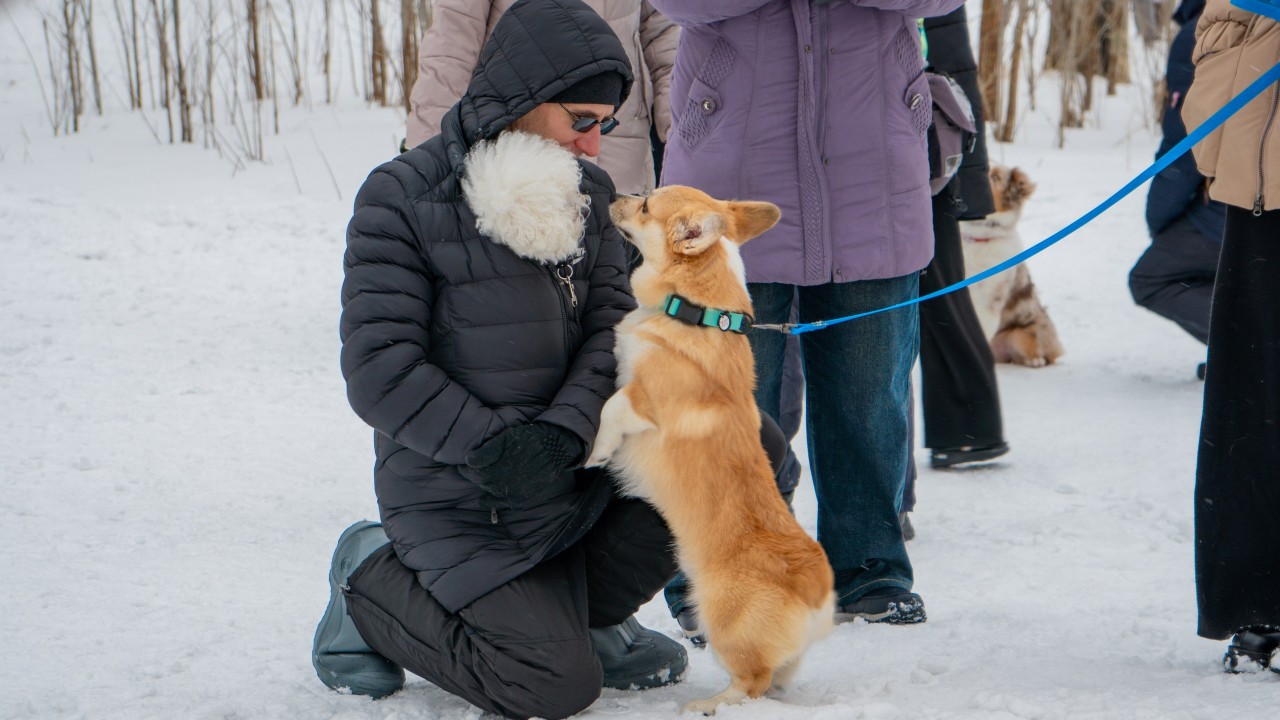 В Казахстане набирает популярность ездовой спорт