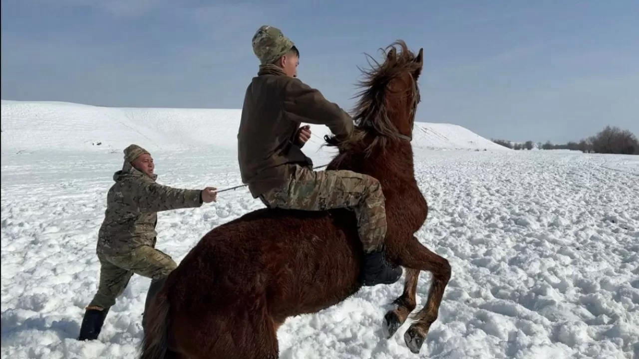 На лихом коне: конные подразделения казахстанской армии тренируются в горах 
