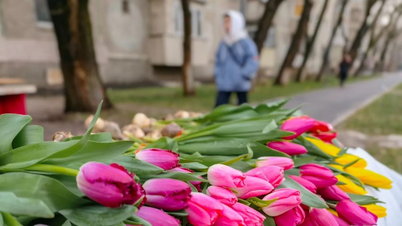 Война против Ирана повлияла на стоимость цветов в Казахстане