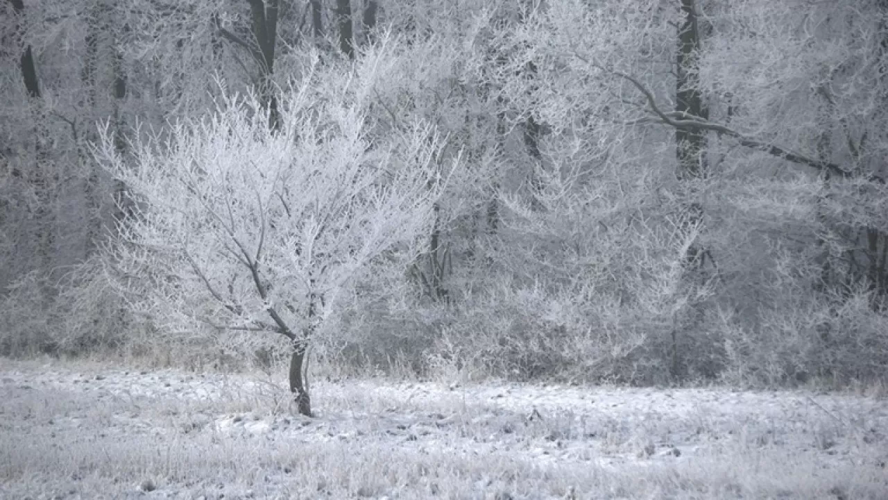 Зима не отступает: регионы Казахстана накроют метели и гололед 