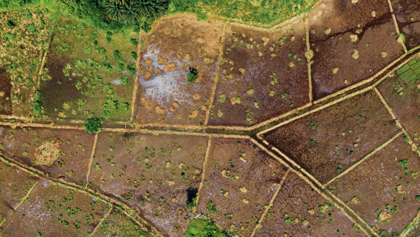 Алматы облысында 150 мың гектар жер мемлекет меншігіне қайтарылды