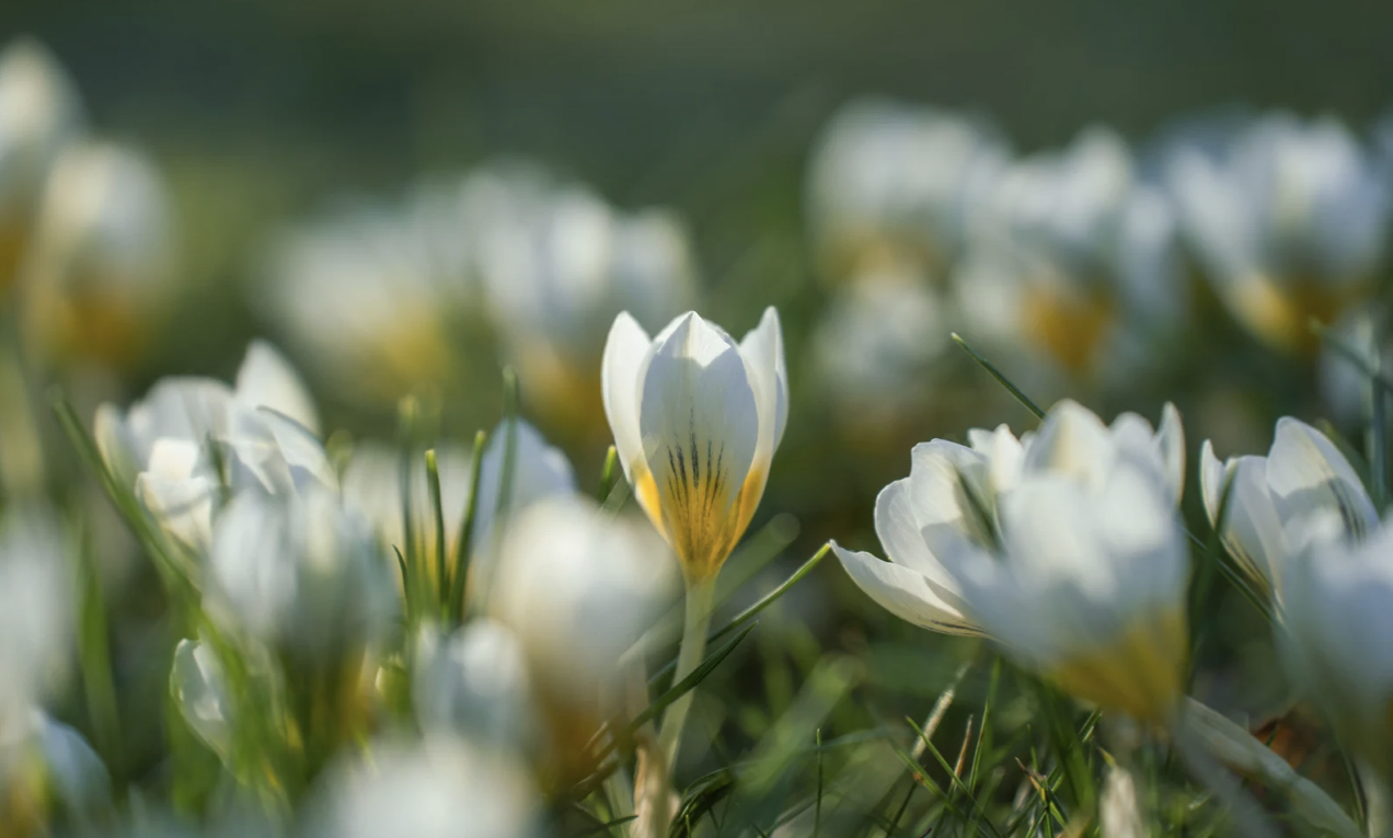 Алдағы күндері ел аумағында күн жылына бастайды