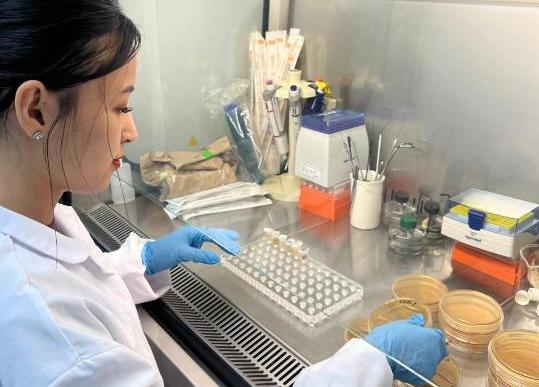 Отандық ғалымдар иммунитетті нығайтуға арналған белсенді қоспалар әзірлеп жатыр