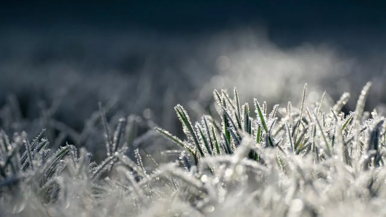 Штормовой март: Казахстан накроют метели, гололед и сильный ветер 