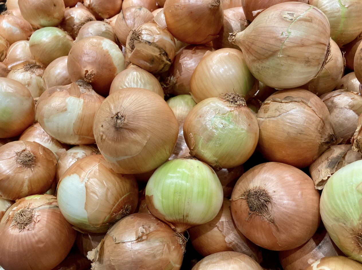 Қырғызстан Қазақстаннан әкелінген 25 тонна пиязды елге кіргізбеді